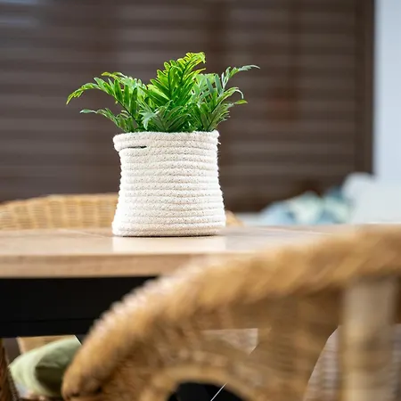 House By United Renters *